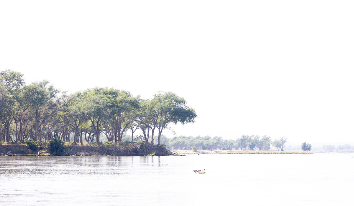Tree 292