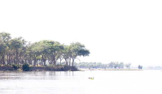 Tree 292